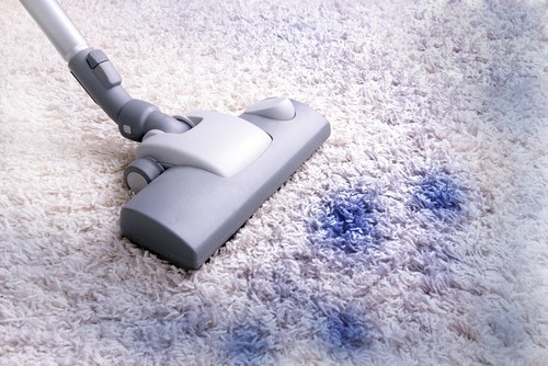 Regular carpet cleaning can prevent mold