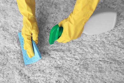 Cleaning pet urine on carpet