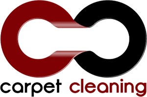 Is Carpet Shampoo Safe For Pets? - Singapore Carpet Cleaning Pte Ltd™