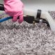 How to Fix the Smelly Carpet in Your Home?