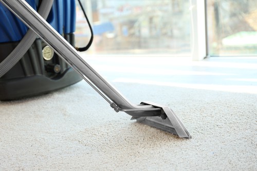 Carpet steam cleaner