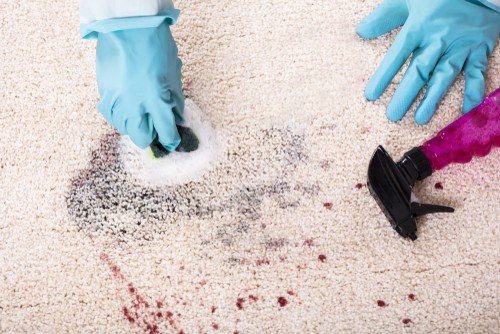 What Is A Good Homemade Carpet Cleaning Solution