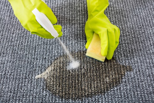 What Is A Good Homemade Carpet Cleaning Solution