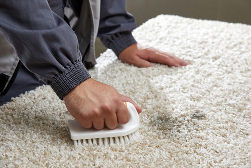 How can I Clean A Carpet with Baking Soda? 