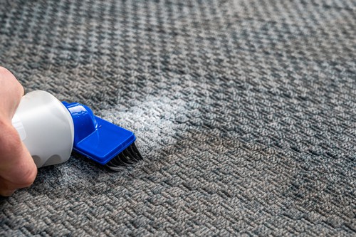 What Are The Bacteria & Germs Hiding In Carpet?