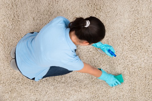 How To Disinfect Office Carpets Myself?