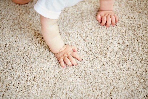 7 Tips On How To Clean Dusty Carpet