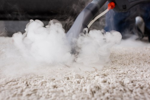  How To Disinfect Carpet Yourself To Prepare For CNY?