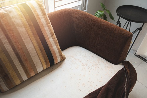 Preventing Musty Smell On Your Sofa, How To Get Mildew Smell Out Of Fabric Furniture