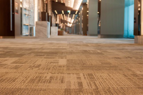 Building carpet cleaning service