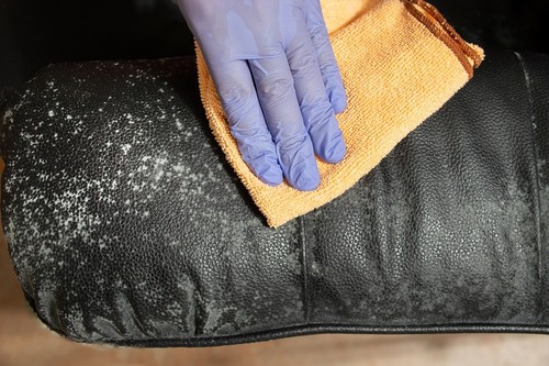 Clean mildew off the leather couch