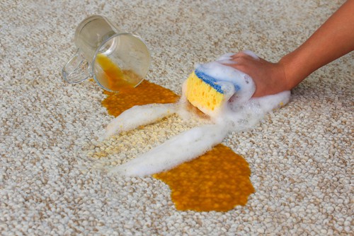Removing carrot juice from the carpet