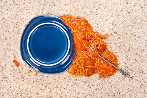  Spaghetti Sauce spilled on carpet