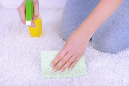  How to Clean Carpet Without