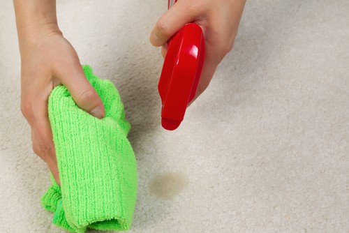 How to Disinfect Carpet?  