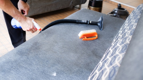 Regular Dusting and Cleaning Sofa