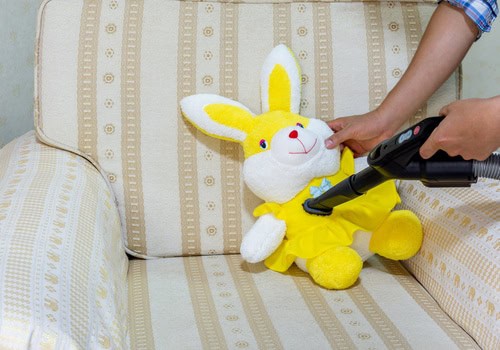 Remove sofa dust mites