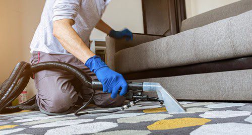 Hiring a Professional Carpet Cleaner