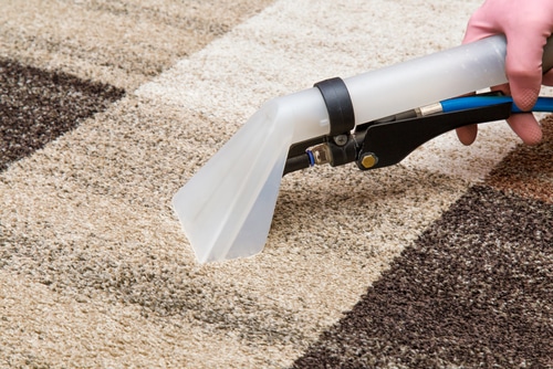 Carpet Cleaning and Pest Control