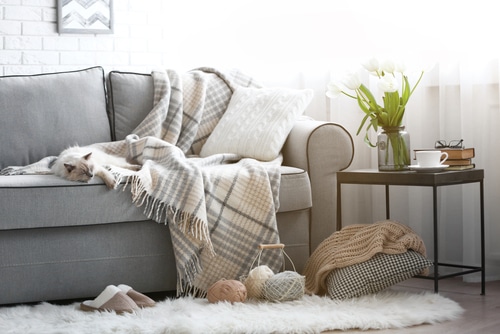 Importance of Having a Fresh and Clean Sofa