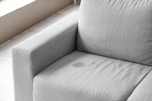 Stains on Couch