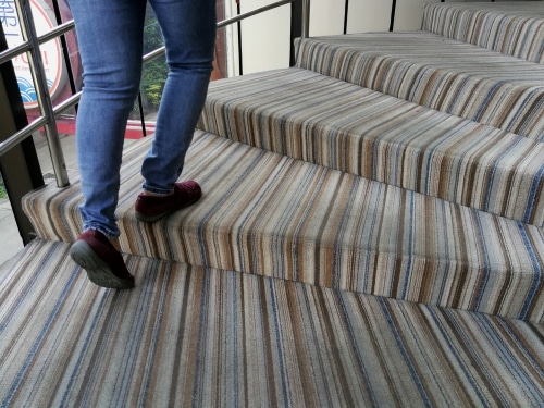 Preventing Carpet Wear and Tear in High-Traffic Areas