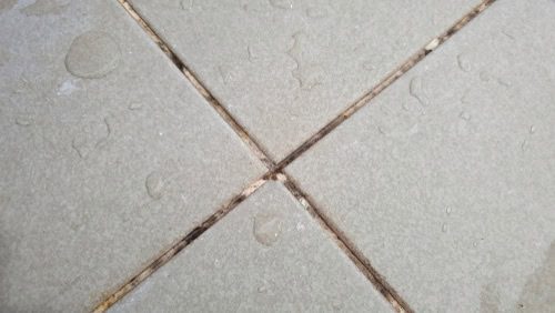 Addressing Grout Stains and Mold