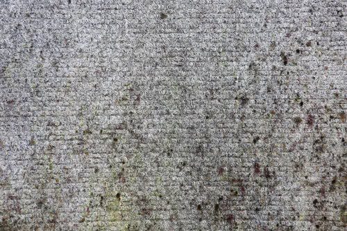 Effects of Water Damage on Carpets