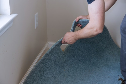 Restoring Water-Damaged Carpets