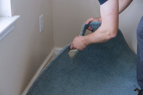 Restoring Water-Damaged Carpets