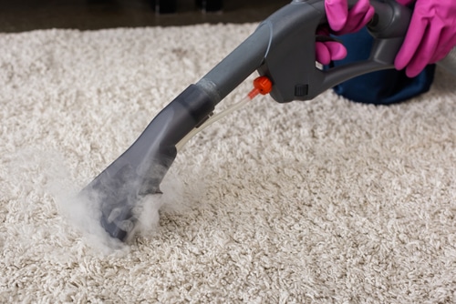 Keeping Carpets Dry and Sanitized