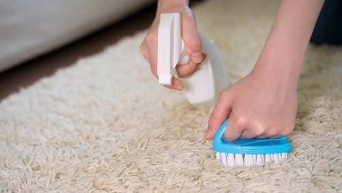 Cleaning and Stain Removal