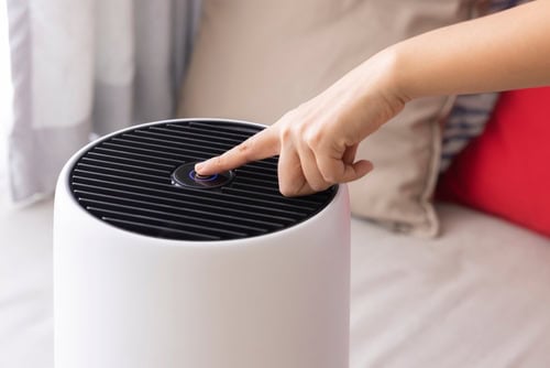 How to Maintain Carpets in Humid Environments 
