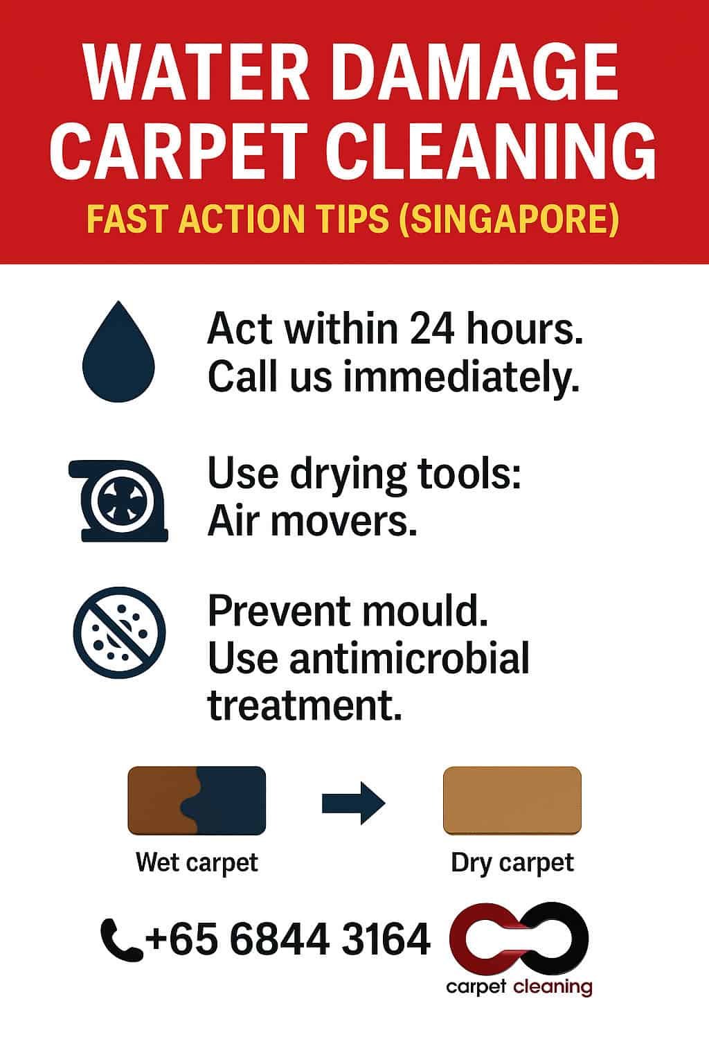 Infographic showing 3 fast action tips for water damage carpet cleaning in Singapore with contact details and logo